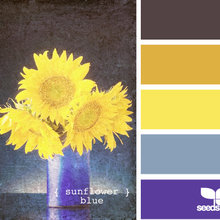 colors