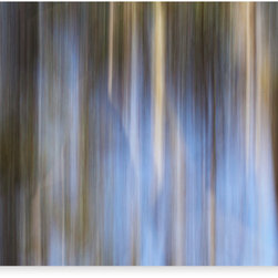 Canvas prints -"Lost in the Bush" - Photographs