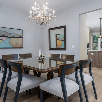 Whole Condo Remodel Westlake Village