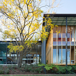 Taringa House - Windows