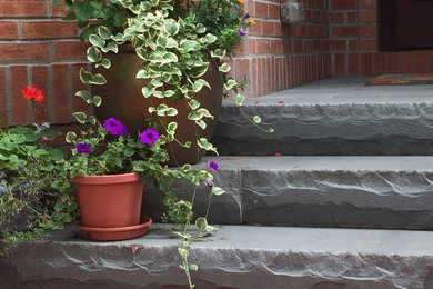 This is an example of a traditional landscaping in Other.