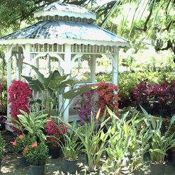 Palm Gardens Nursery Orlando Fl Us 32812 Palm Gardens Nursery Orlando Fl Us