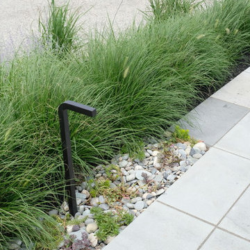 Modern Oceanfront Landscape - Cohasset