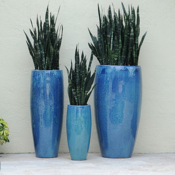 Delray Beach Container Garden
