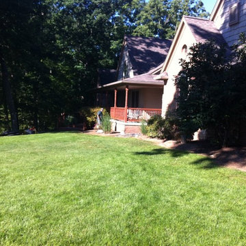 Curb Appeal