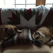 Ricky Fitzgerald's photo