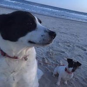John Hicinbothem's photo