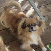 Marsha Bittinger's photo