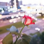 Foto von Ольга Шарамыгина