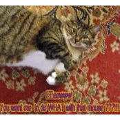 Moreyn Kamenir's photo