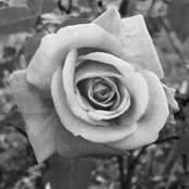 Tara Close's photo