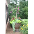 All Outdoor Lawn Services's profile photo