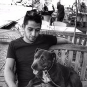 Aviran Grisaro's photo