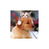 Helen Amose's photo