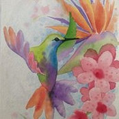 Marie-josee Barbeau's photo