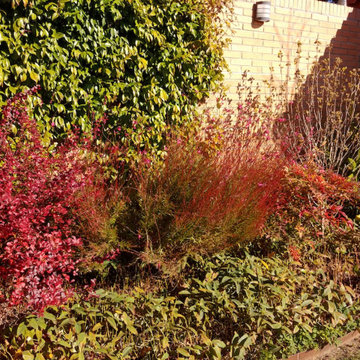 EL JARDÍN EN OTOÑO