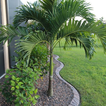 Landscape Design,Palms Plants Charcoal Misquite Stone Curbing