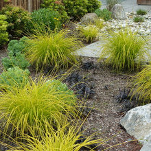 Hempstead House Backyard