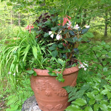 Garden Designs in Containers