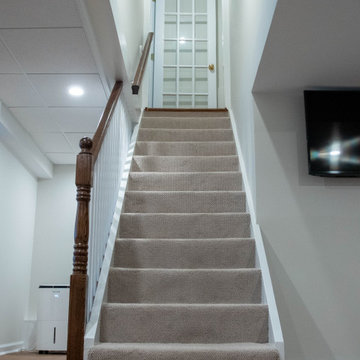 Basement Renovation