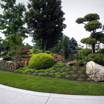 Creating enclosure and shade with Landscaping in your front yard