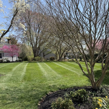 Landscape Design & Maintenance
