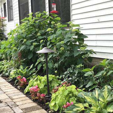 Residential Shade Garden