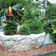 misc container gardens