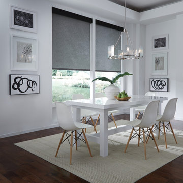 Lutron Automated Window Shades