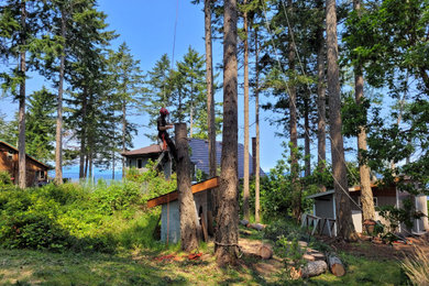 Our Tree Work