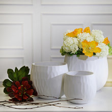 Ceramic Planters