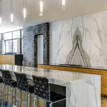 MidCentury Modern Open Concept Kitchen and Living Room