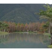 Foto de Tseng Mily
