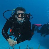 Doug McNeese's photo