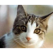 Joan Roberts's photo