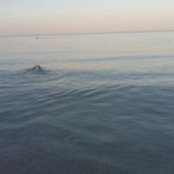 Foto von Mariya M