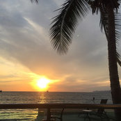 Josine Spina Murano's photo