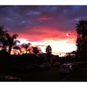 Joseph Richman's photo