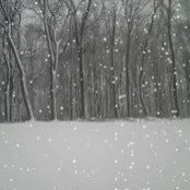 Kristen Hale's photo