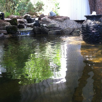 Ecosystem Ponds
