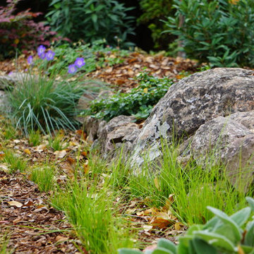 Los Gatos Front Yard Lounge