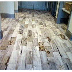 Petrified Wood Tile, 6"x18" - Park City, UT - Wall And Floor Tile
