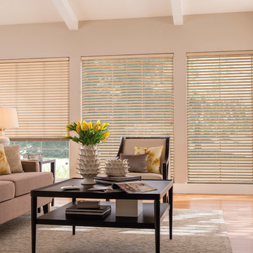 Horizontal Shades