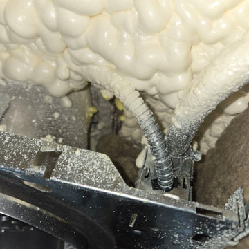 Insulation Assessment