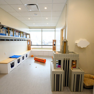 North Shore Animal League America