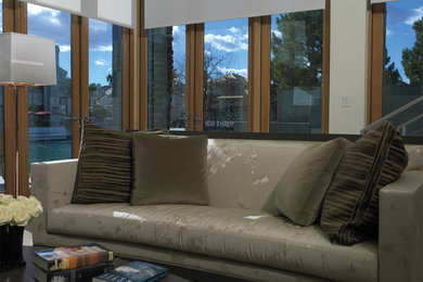 Inspiration for a mid-sized contemporary open concept family room remodel in Other with white walls