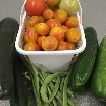 Community Gardens