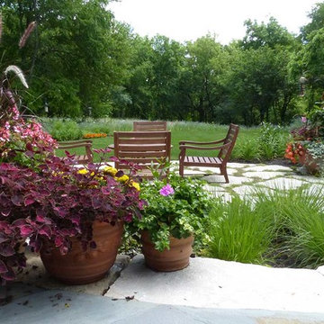 Container plants add color