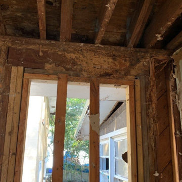 Termite Damage Is at it Again