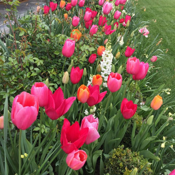 Colorful plantings